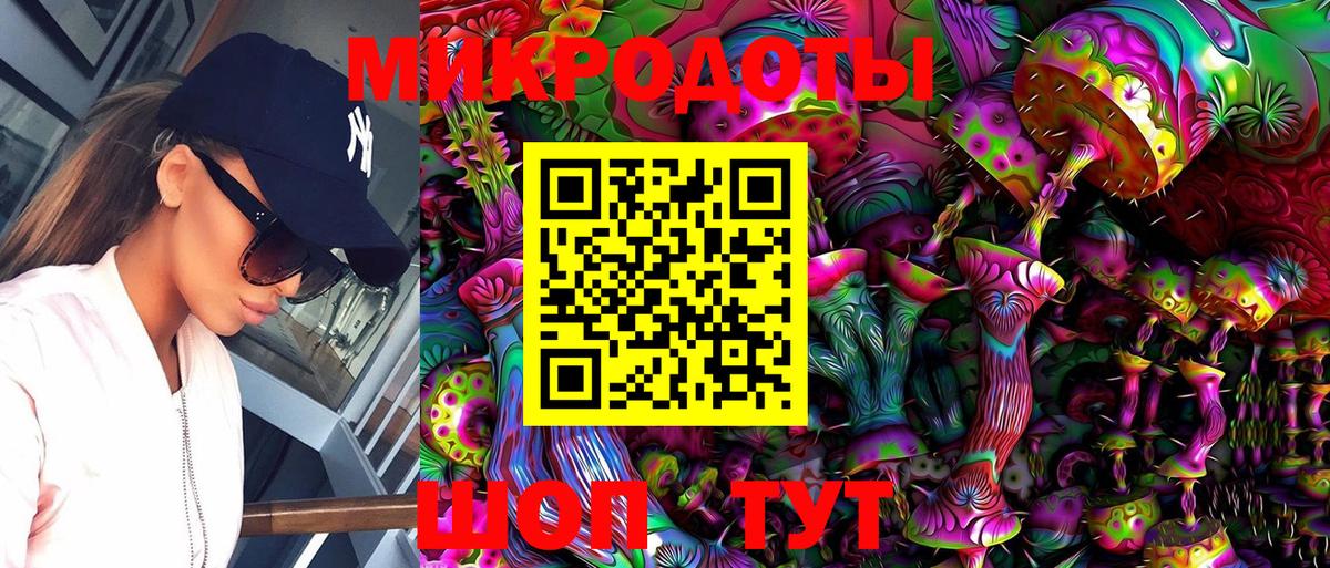 Галлюциногенные грибы Psilocybe Бутурлиновка